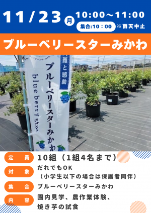 ブルーベリースターみかわ
