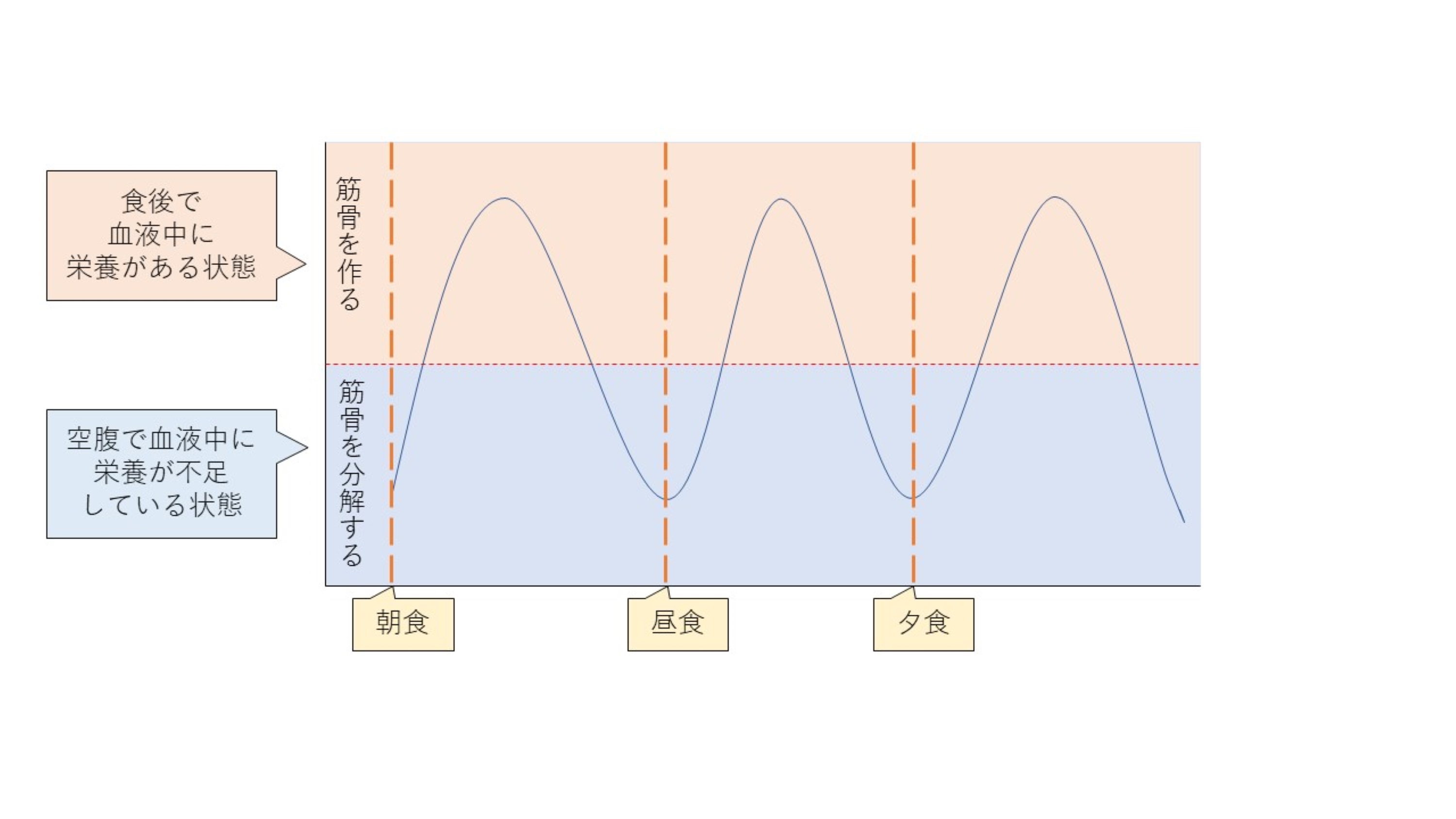 低栄養予防