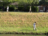 清掃の様子